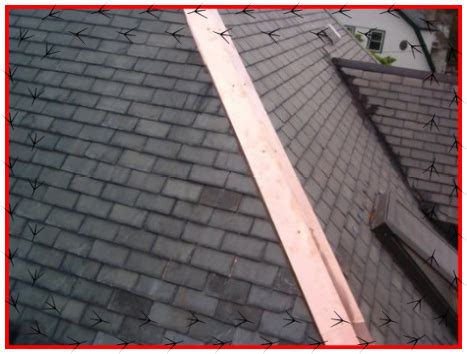 west lothian roofing services